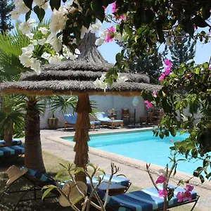 https://riad-sanam-essaouira.essaouirahotels.net