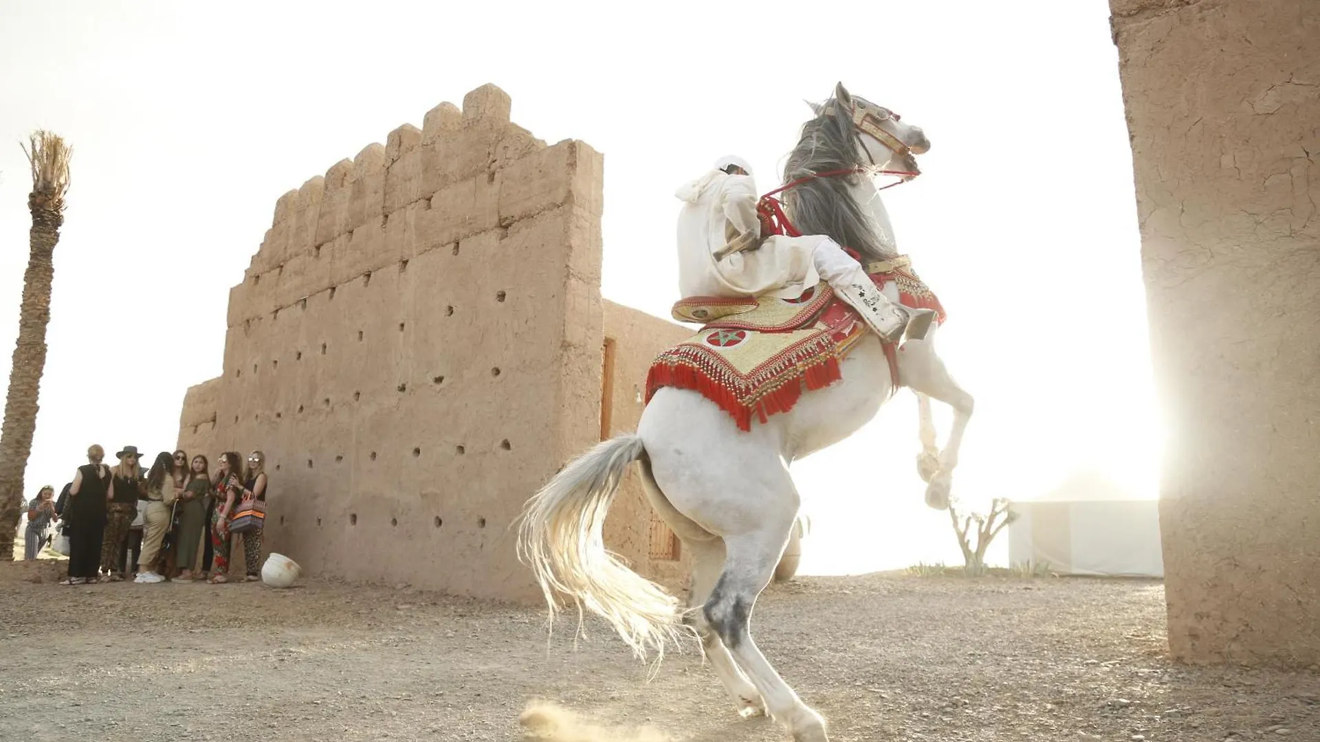 The White Camel Camp - Agafay Desert Activities Marrakesh